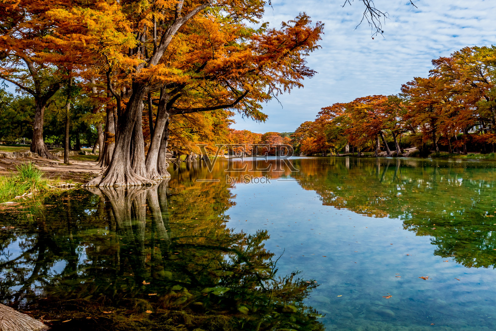 德克萨斯州加纳州立公园的秋叶照片摄影图片