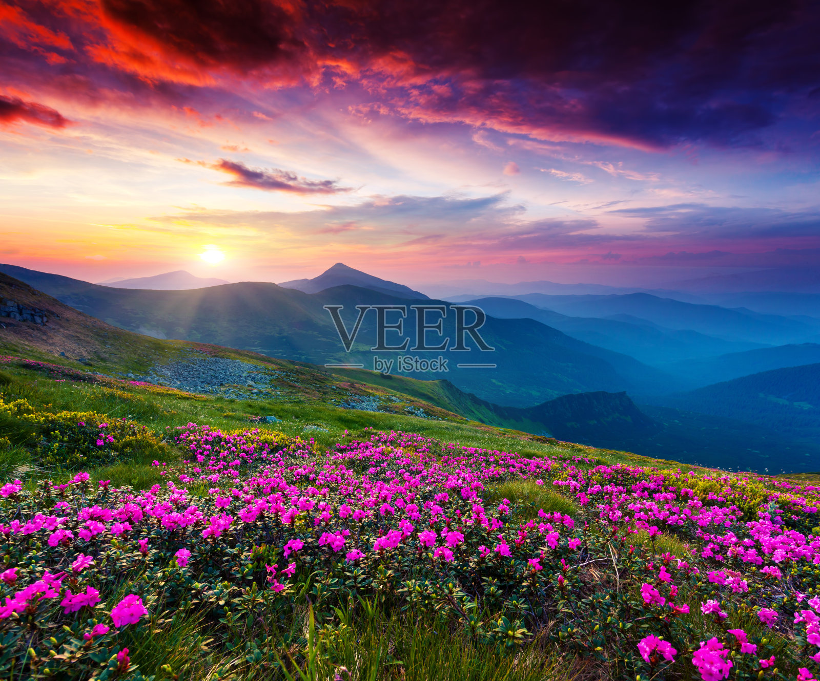 欧洲乌克兰喀尔巴阡山脉的美丽风景。美丽的世界。照片摄影图片