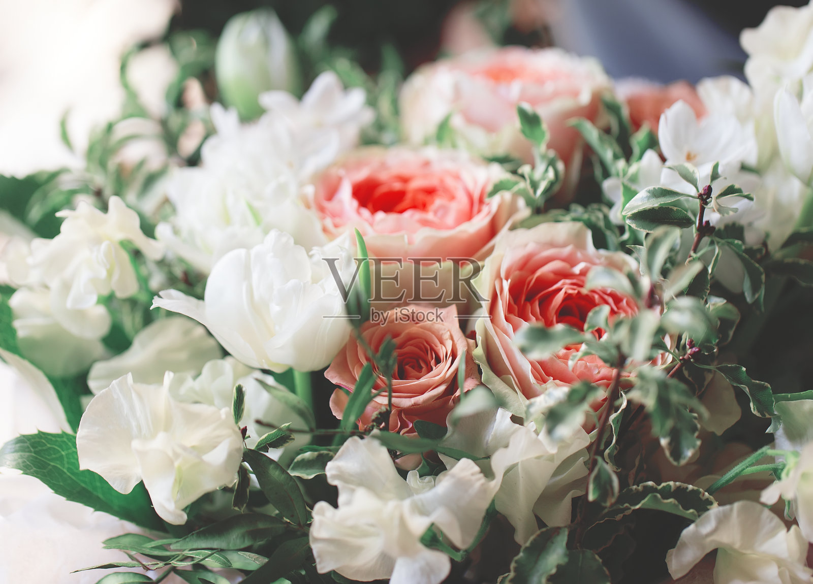 玫瑰花束，优雅而充满活力的花朵。照片摄影图片