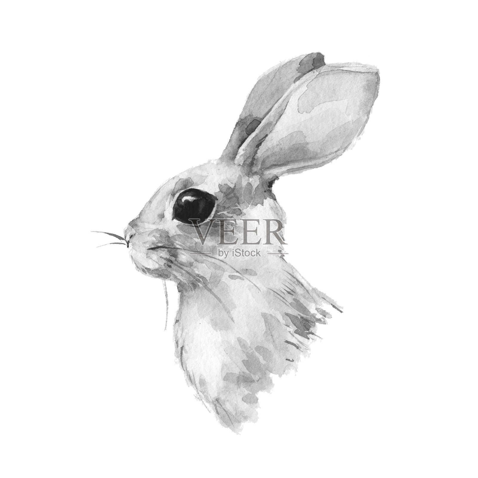 可爱的兔子。水彩插图。黑色和白色插画图片素材