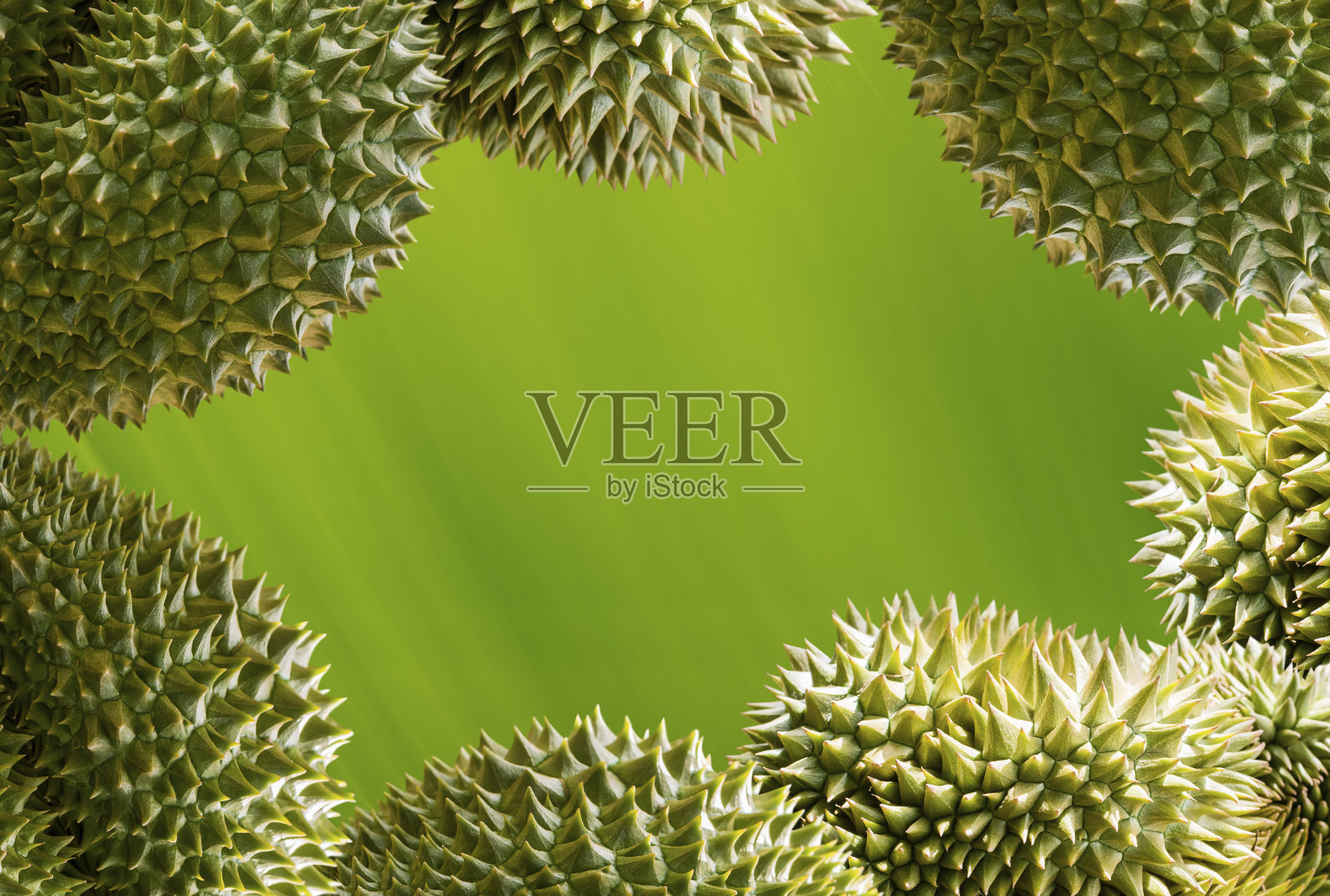 榴莲，泰国王水果与绿色设计照片摄影图片