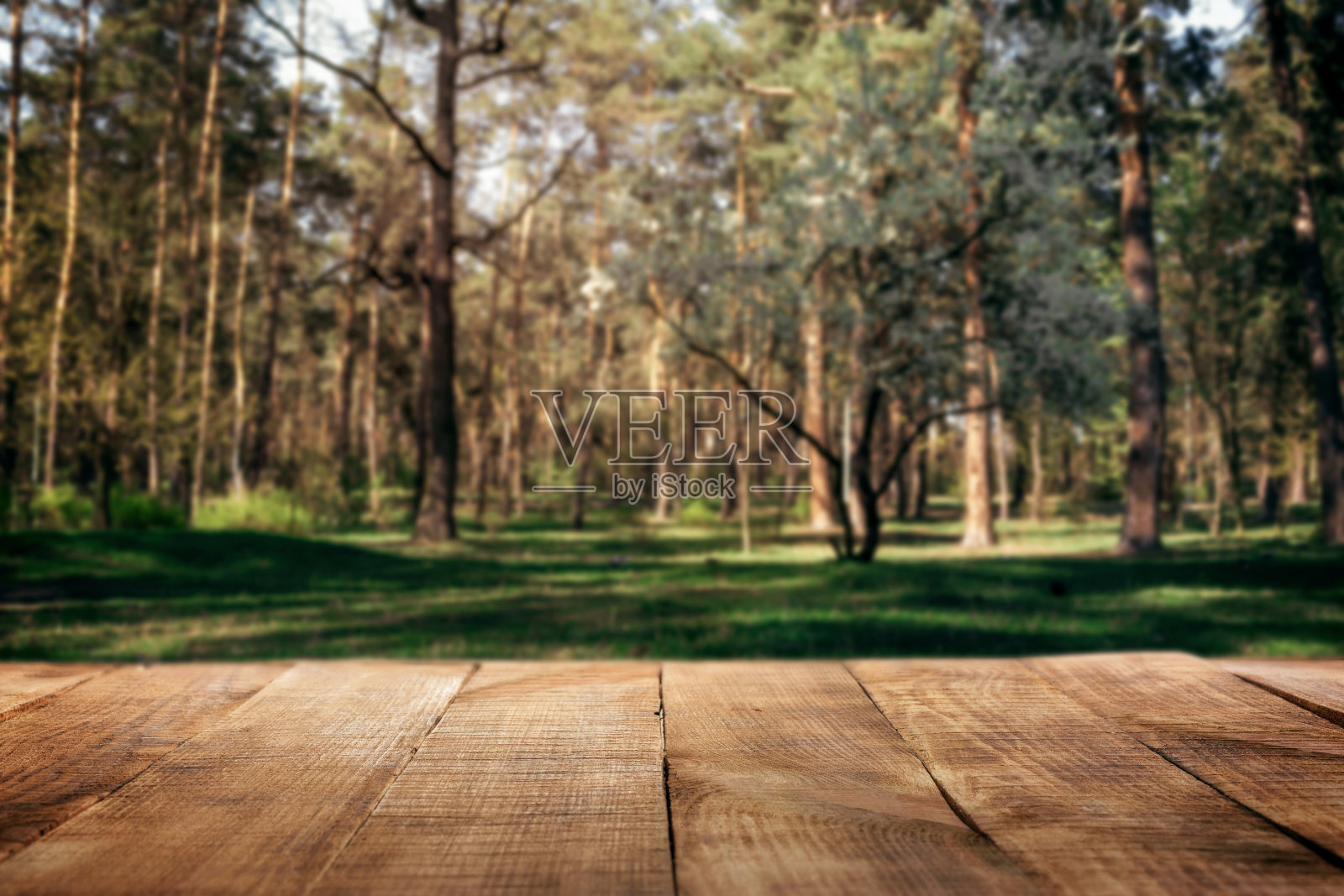 公园背景的空木桌照片摄影图片