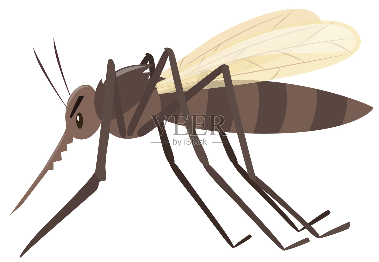 蚊子在白色的背景上飞行设计元素图片