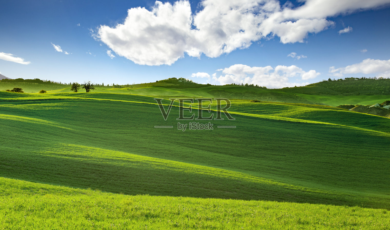 托斯卡纳连绵起伏的丘陵全景照片摄影图片