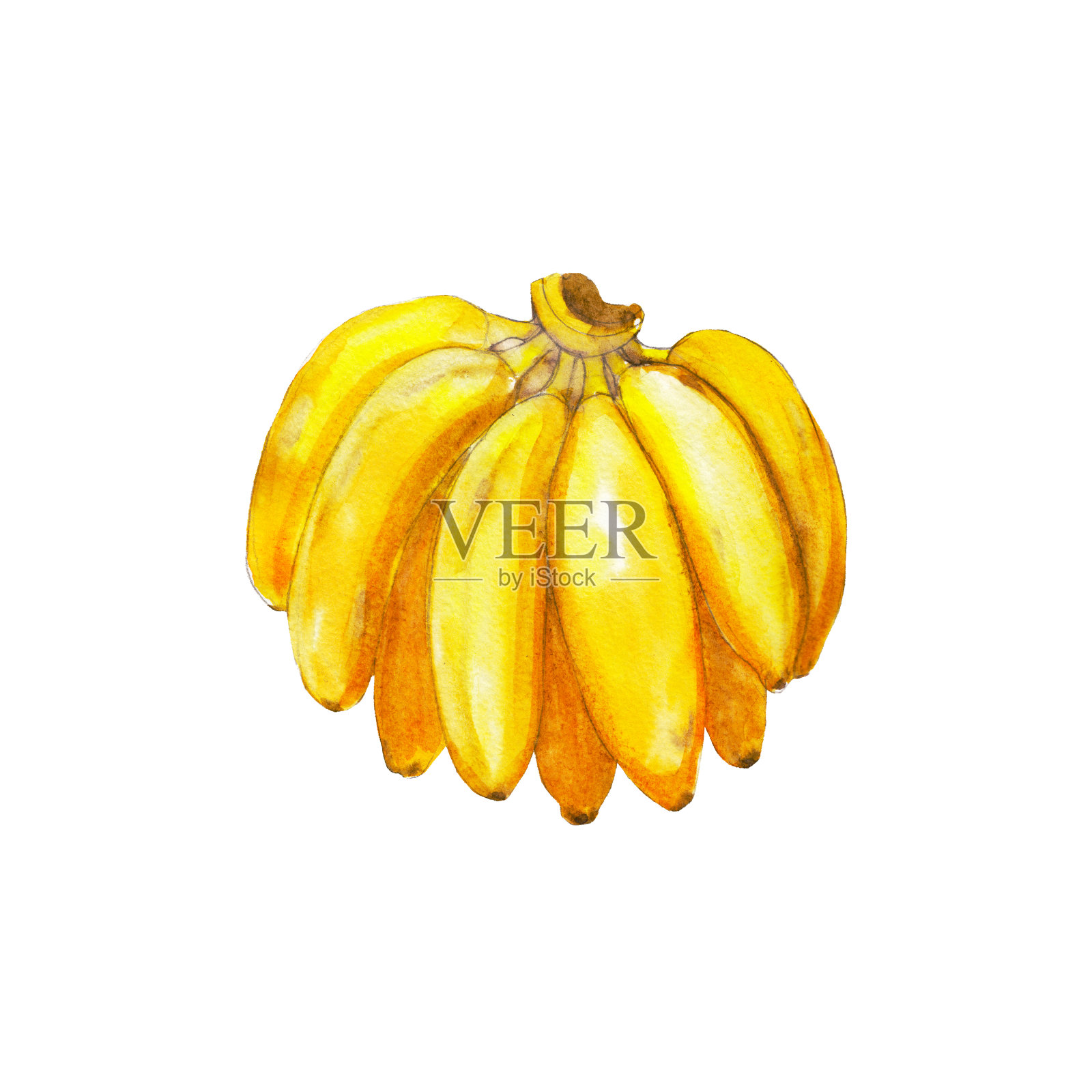 香蕉孤立在白色背景，水彩插图手绘风格。插画图片素材