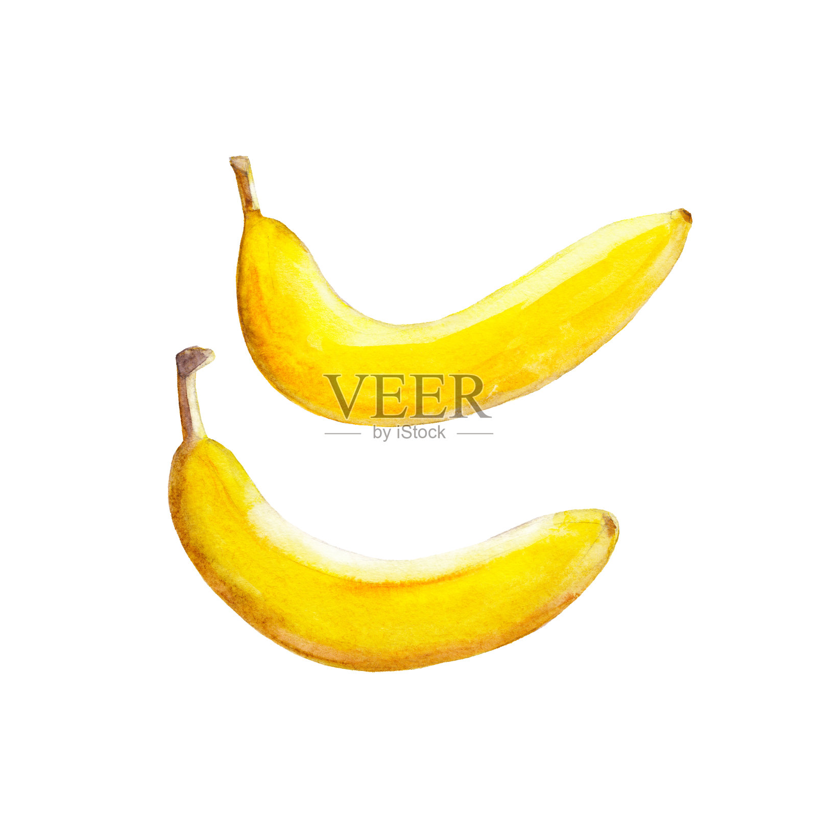 香蕉孤立在白色的背景，水彩插图水果集在手绘风格。插画图片素材