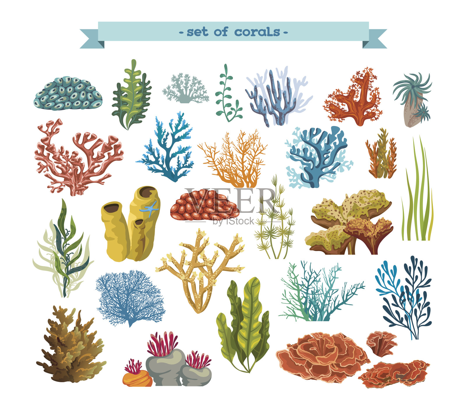 珊瑚和藻类的集合。插画图片素材