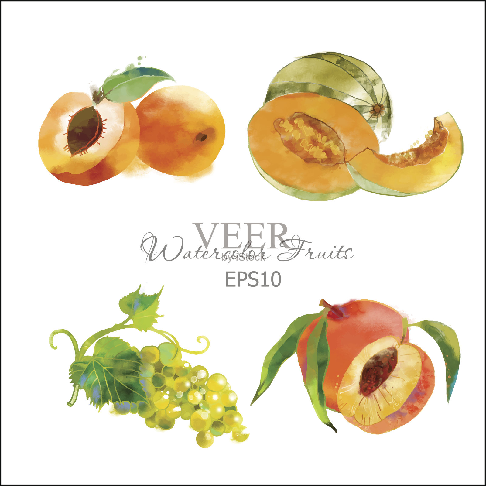 杏、瓜、葡萄、桃设计元素图片