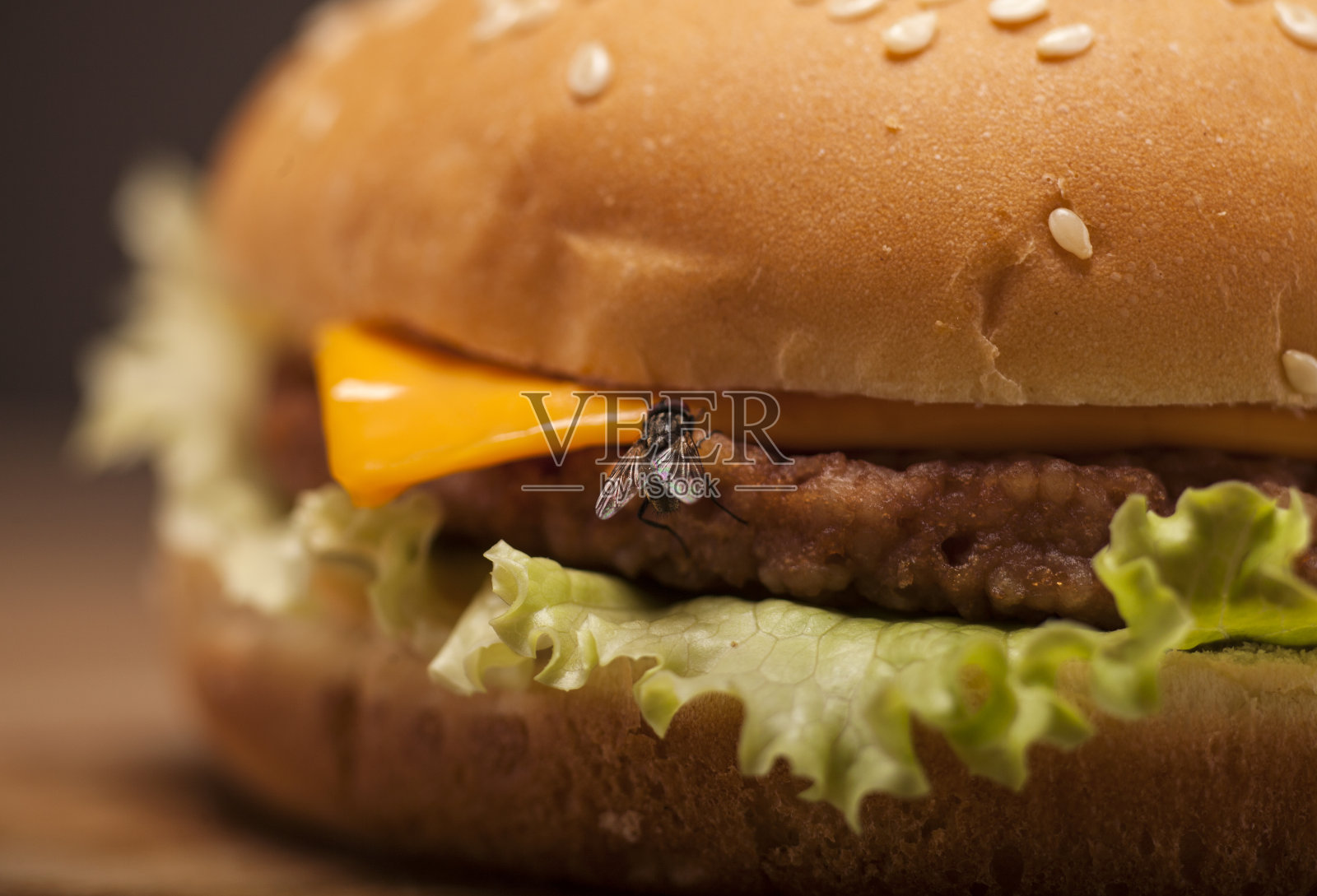 新鲜的苍蝇汉堡照片摄影图片