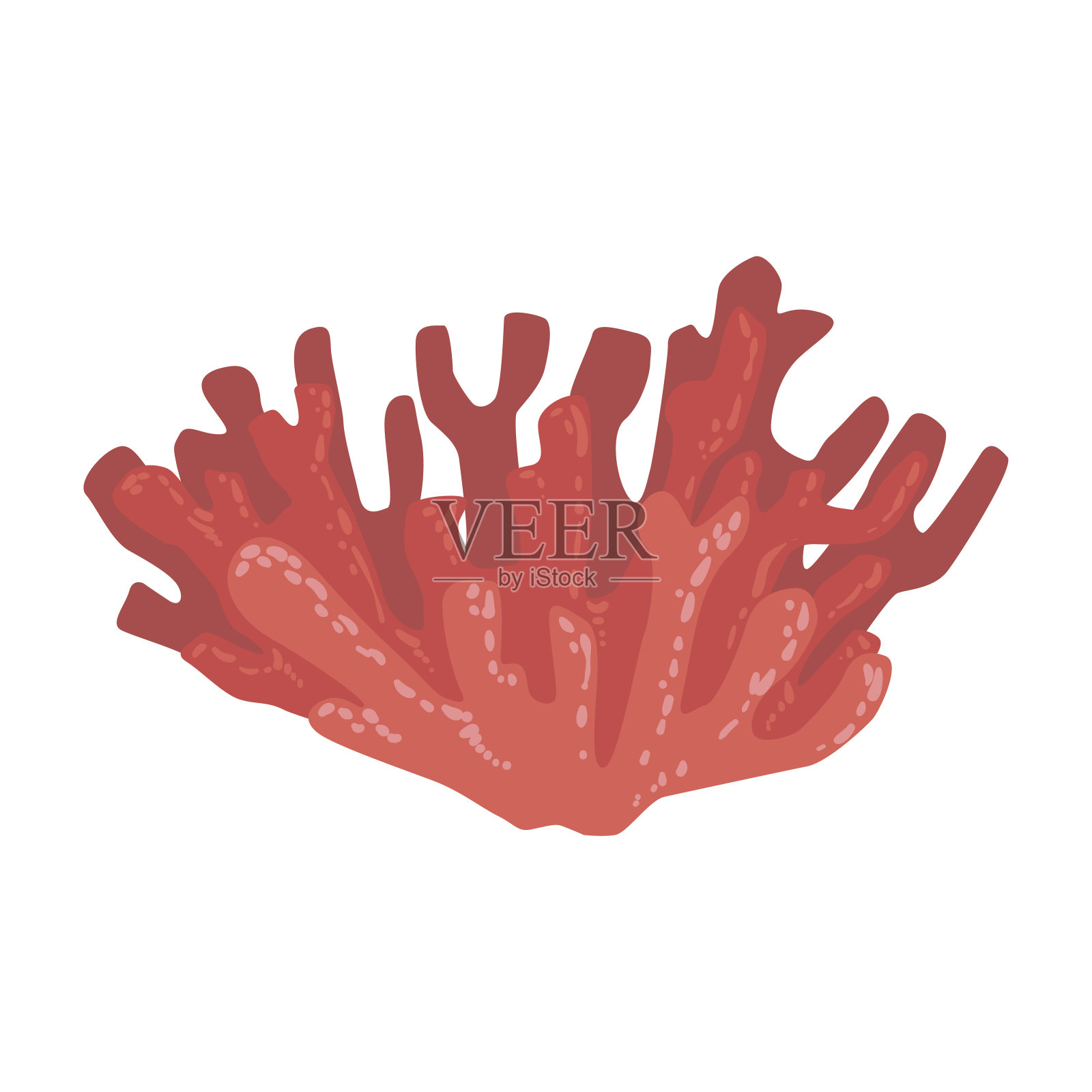红色软珊瑚，热带礁海洋无脊椎动物孤立的矢量图标设计元素图片