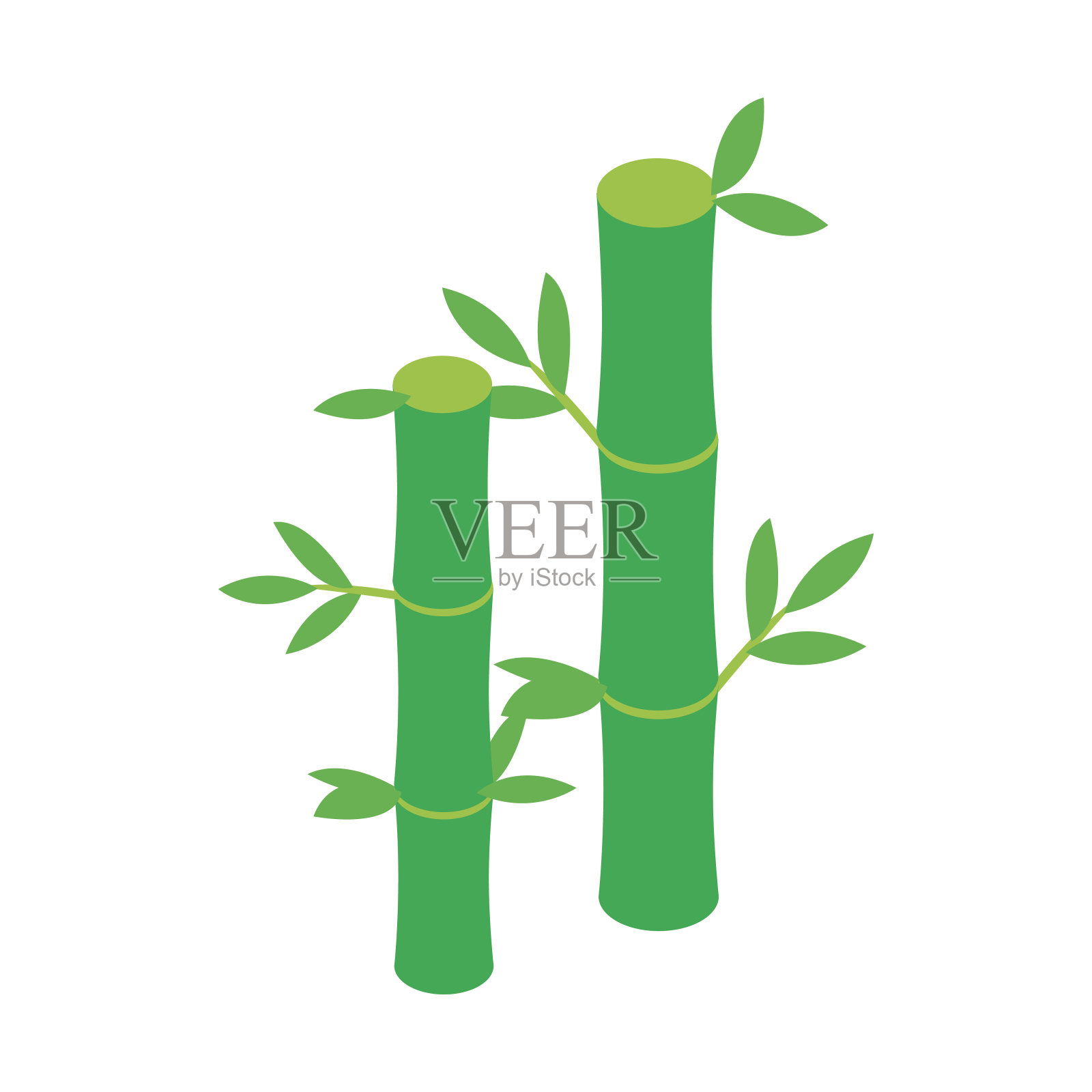 绿色竹茎图标，等距3d风格设计元素图片