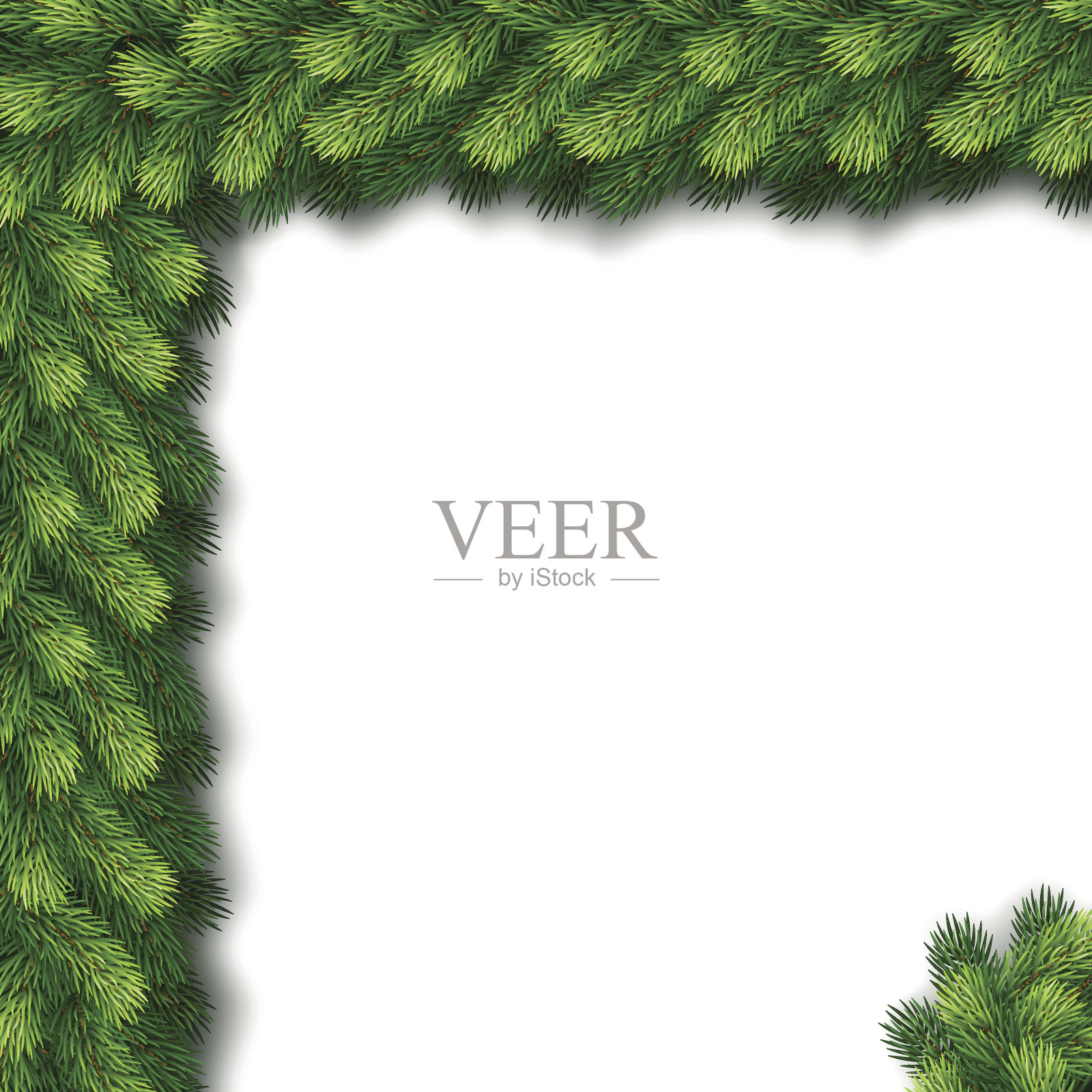 详细无缝的杉木树枝圣诞花环插画图片素材
