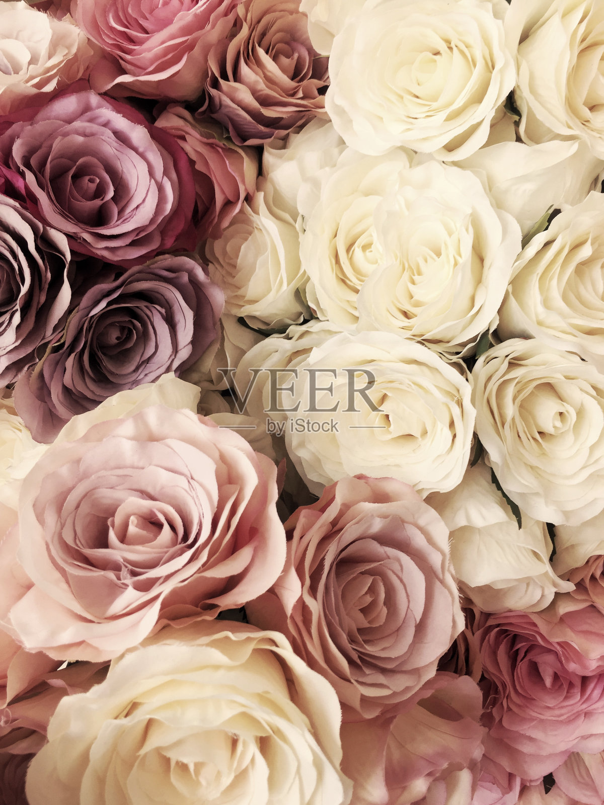 美丽的复古玫瑰背景。白色、粉色、紫色、紫罗兰色、奶油色花束。优雅风格的花卉。照片摄影图片
