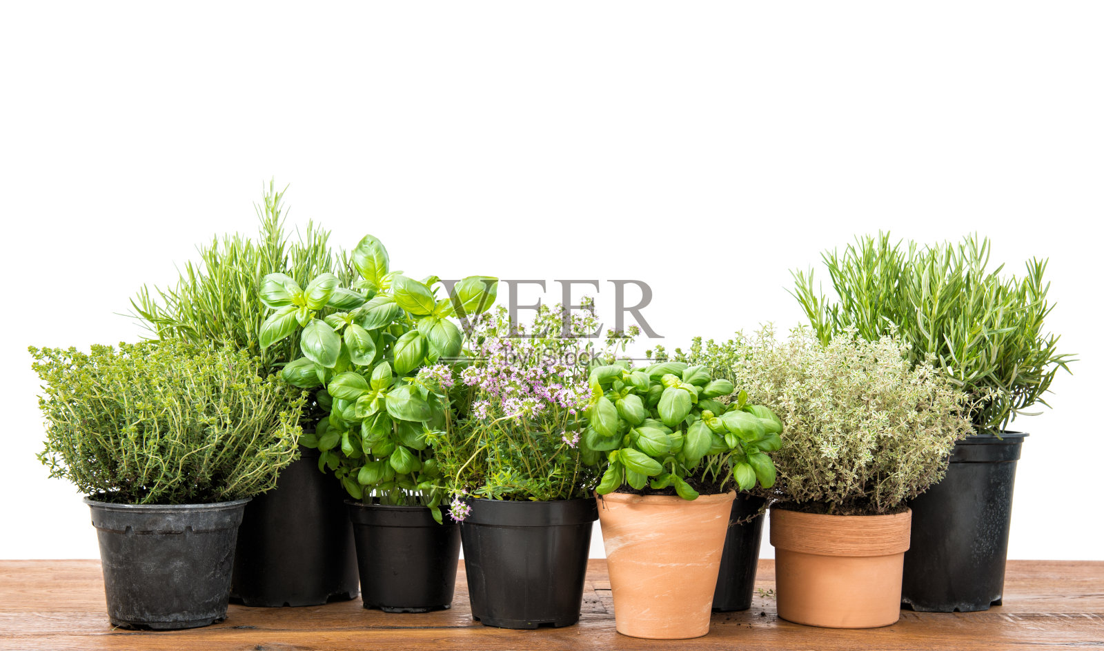 新鲜的香草，罗勒，迷迭香，百里香，美味的白色背景照片摄影图片