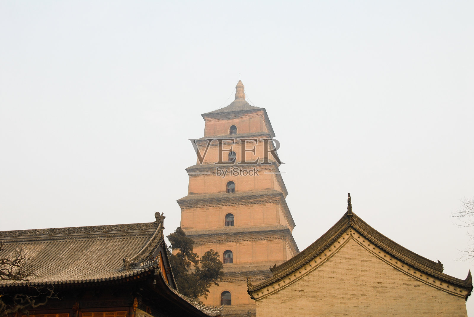 清晨大雁塔，中国西安照片摄影图片