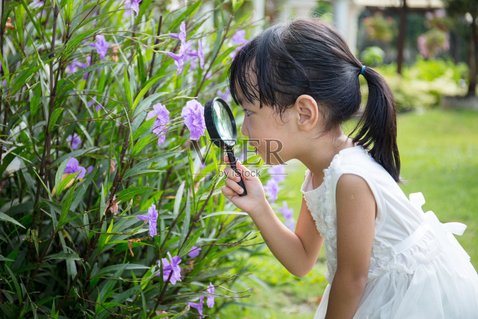 亚洲华人小女孩透过放大镜看花照片摄影图片
