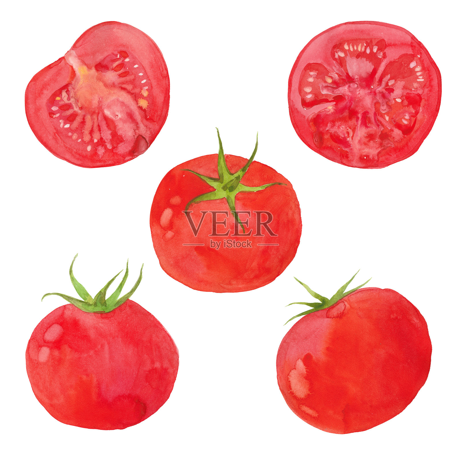 水彩番茄集插画图片素材