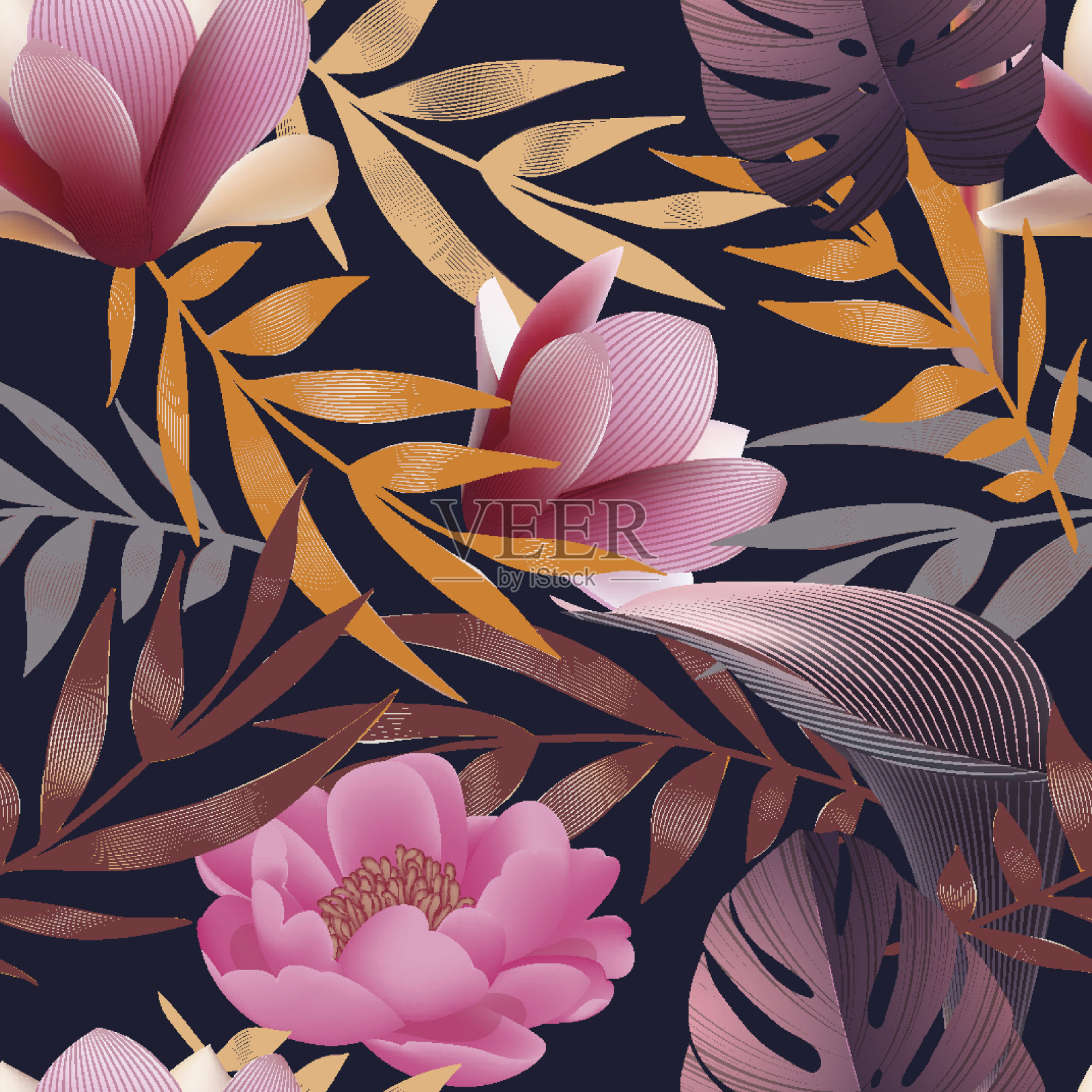热带花，丛林叶，天堂花。插画图片素材