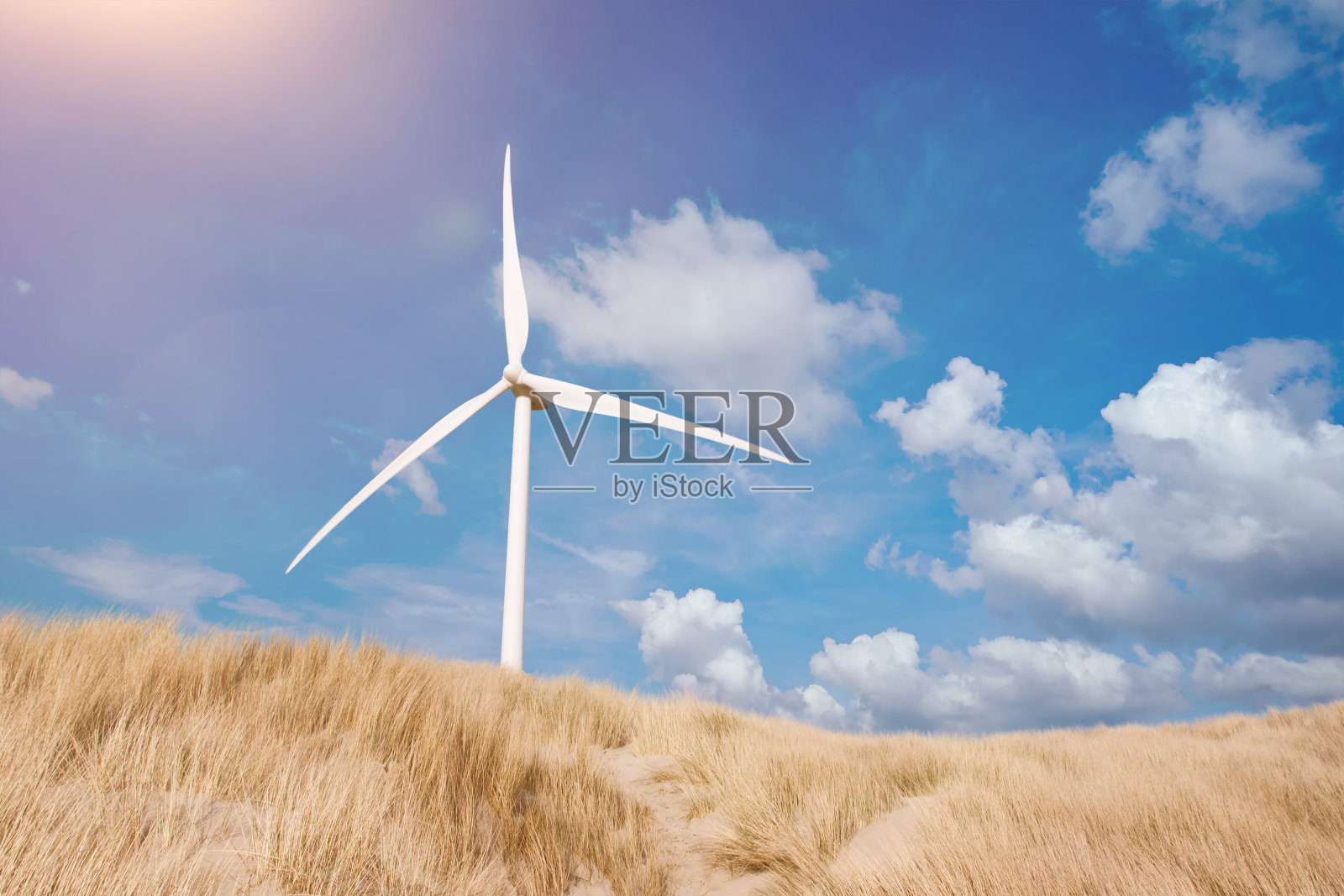 夏日蓝天下，沙丘后面的风力涡轮机覆盖着马兰草照片摄影图片