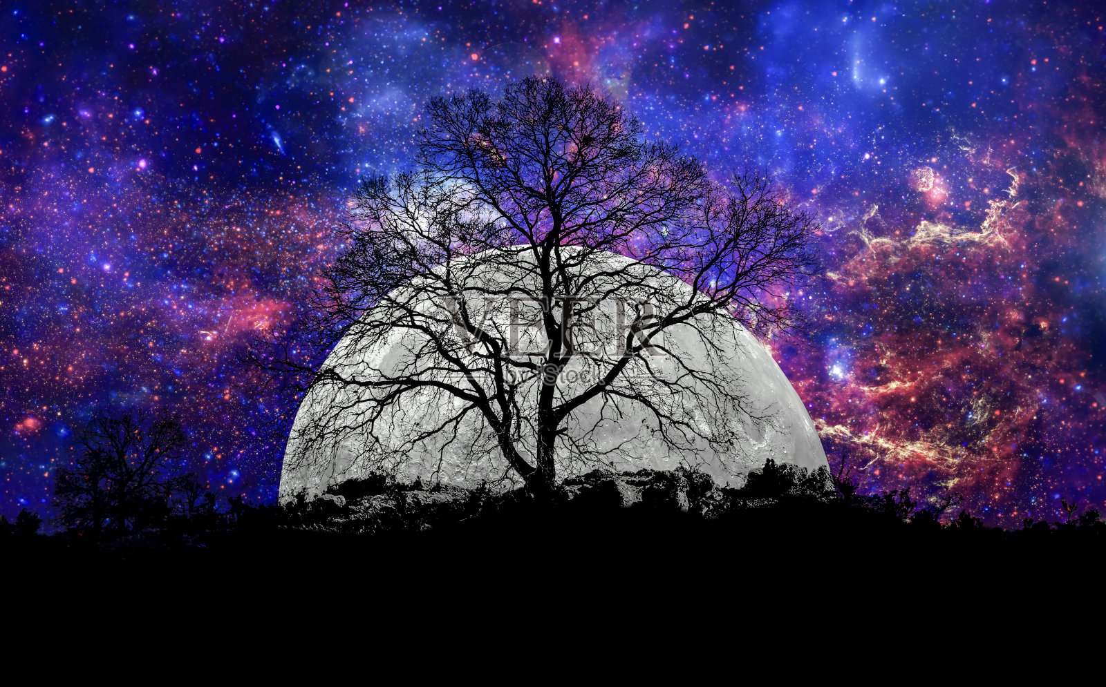 一棵最大月亮的孤独树，也被称为超级月亮。照片摄影图片