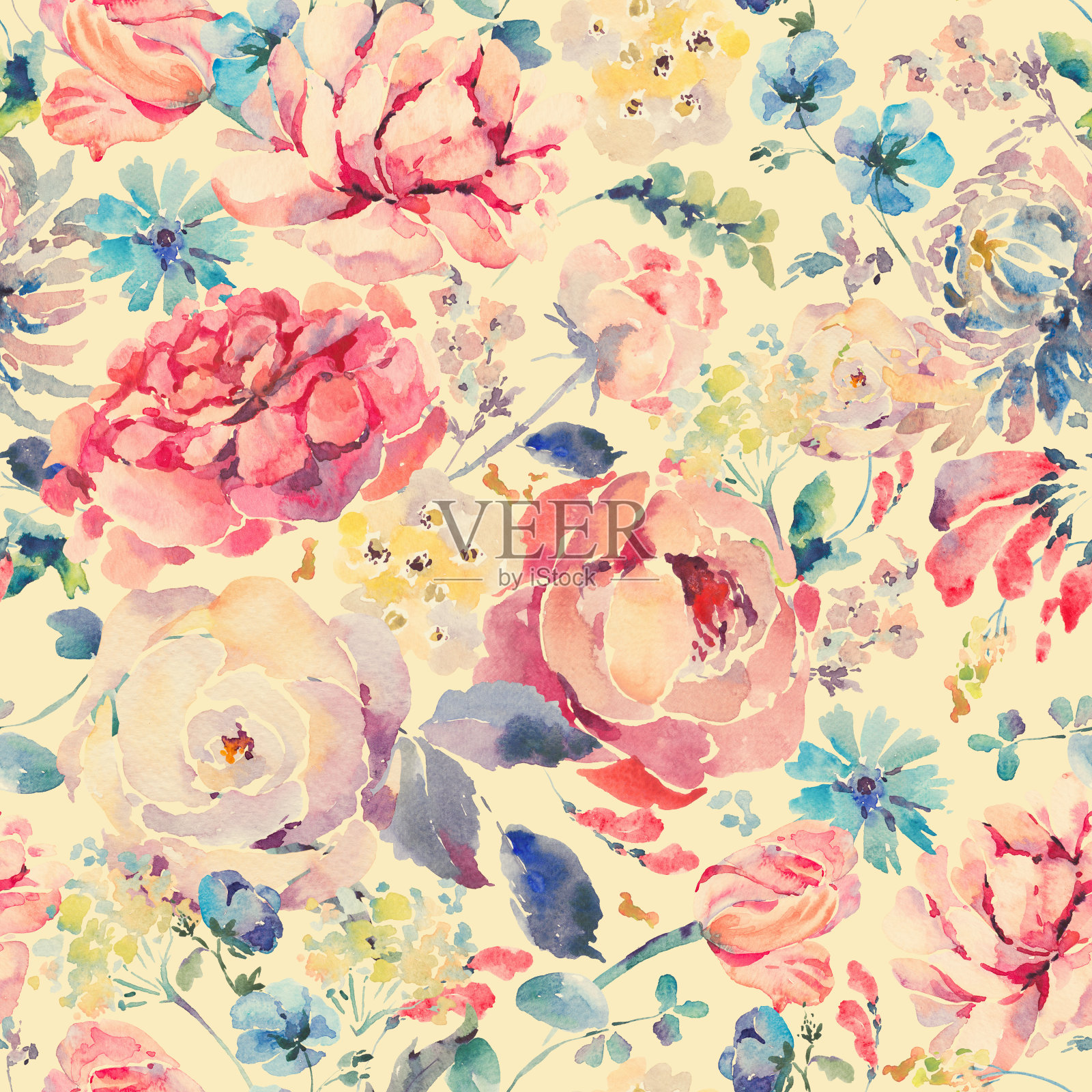 水彩无缝图案与сhrysanthemums，玫瑰插画图片素材