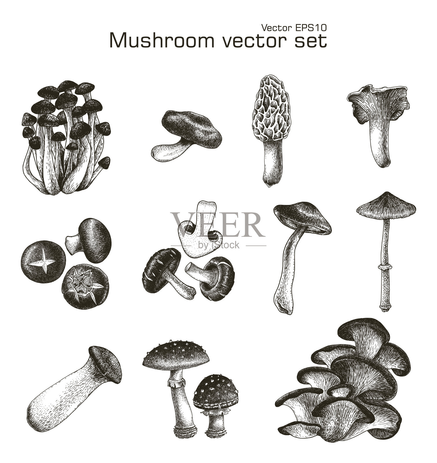 蘑菇矢量集手绘设计元素图片