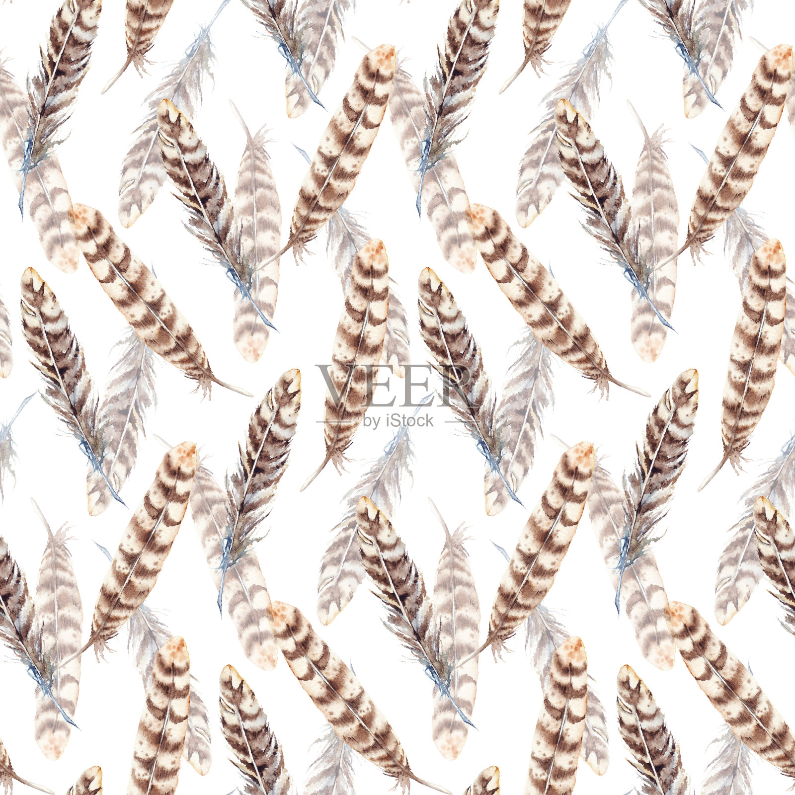 水彩棕米色条纹羽毛无缝图案插画图片素材