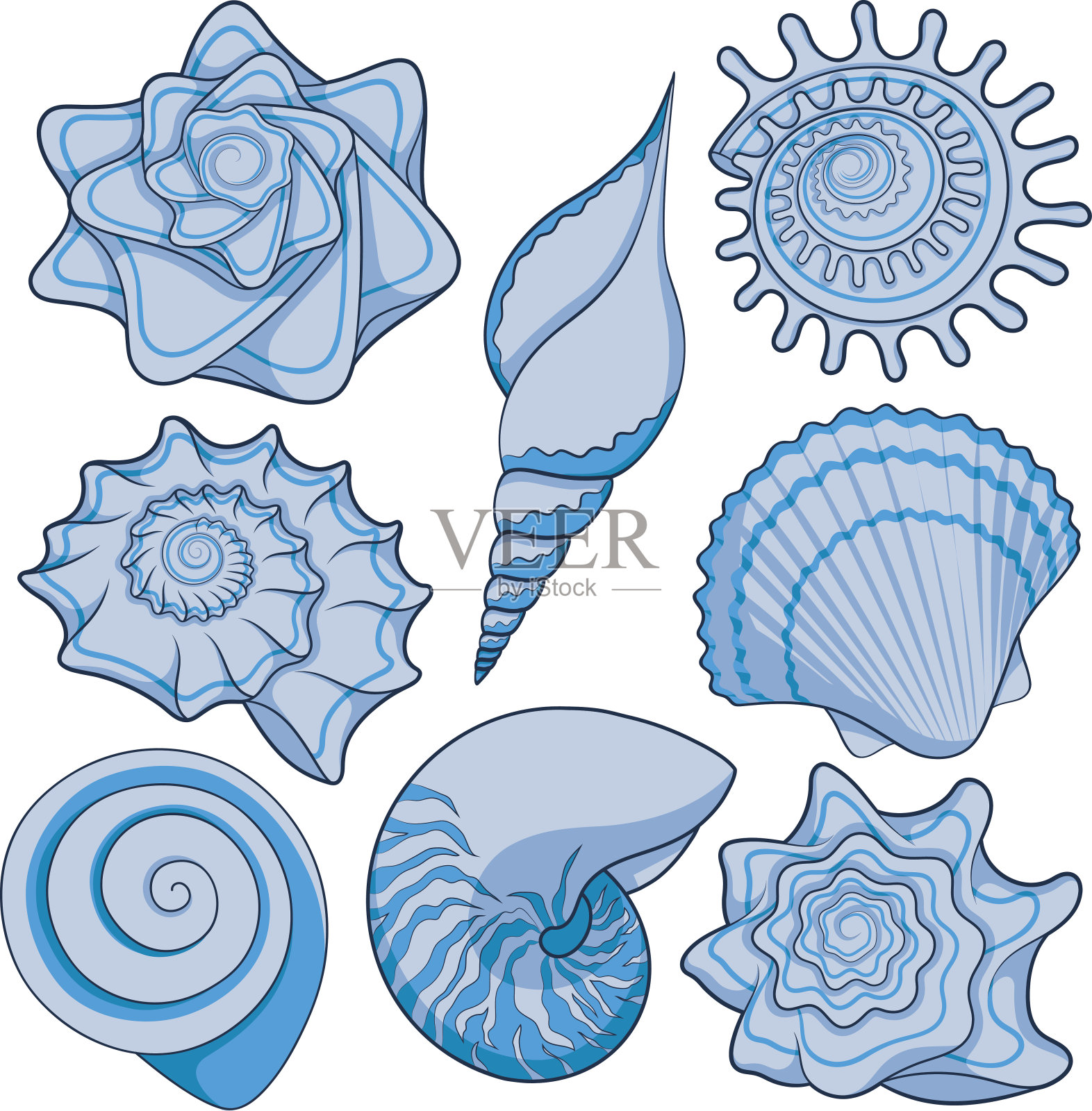 一套彩色的海贝壳设计元素图片