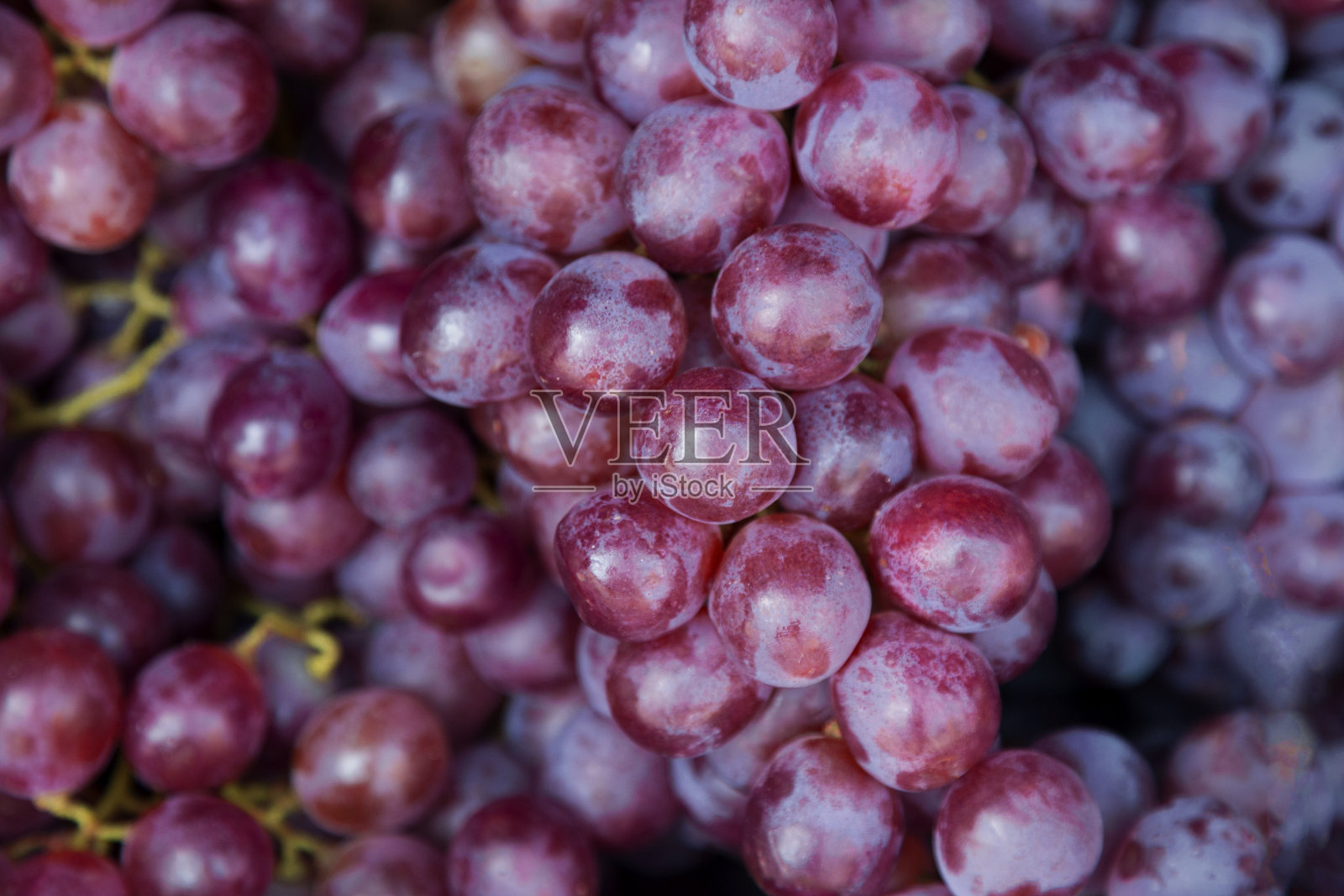 红酒葡萄背景/黑葡萄，蓝葡萄，红葡萄，葡萄，葡萄，葡萄科，红葡萄，皇帝葡萄照片摄影图片