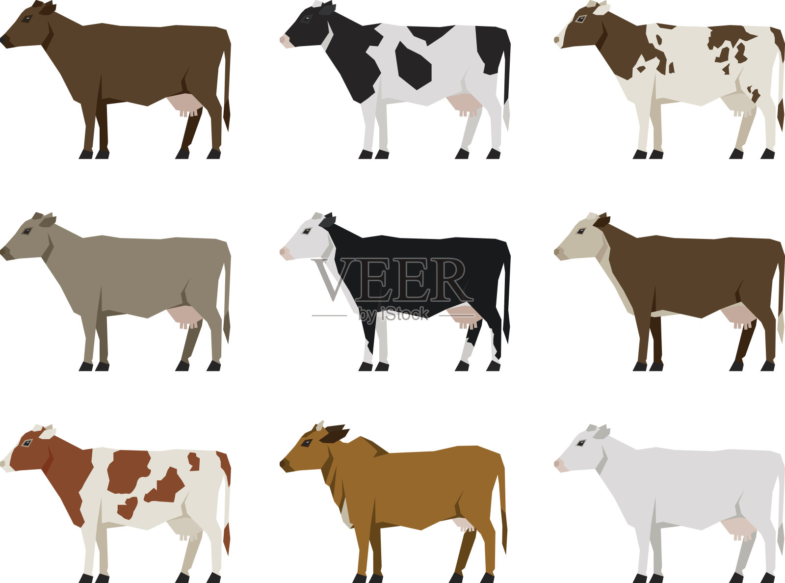 奶牛的平面图标。最受欢迎的牛。插画图片素材