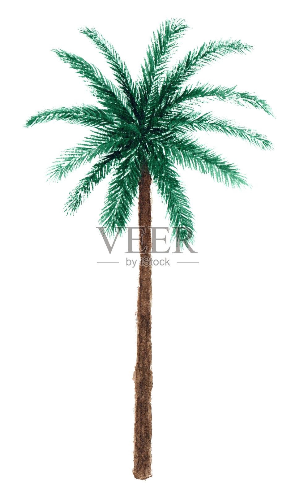 水彩画的棕榈树设计元素图片