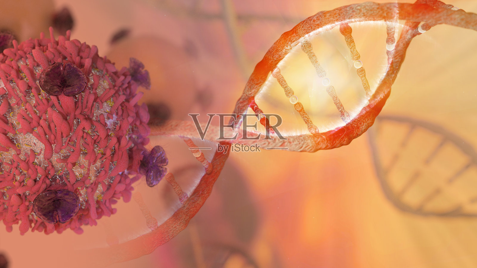 DNA链和癌细胞照片摄影图片
