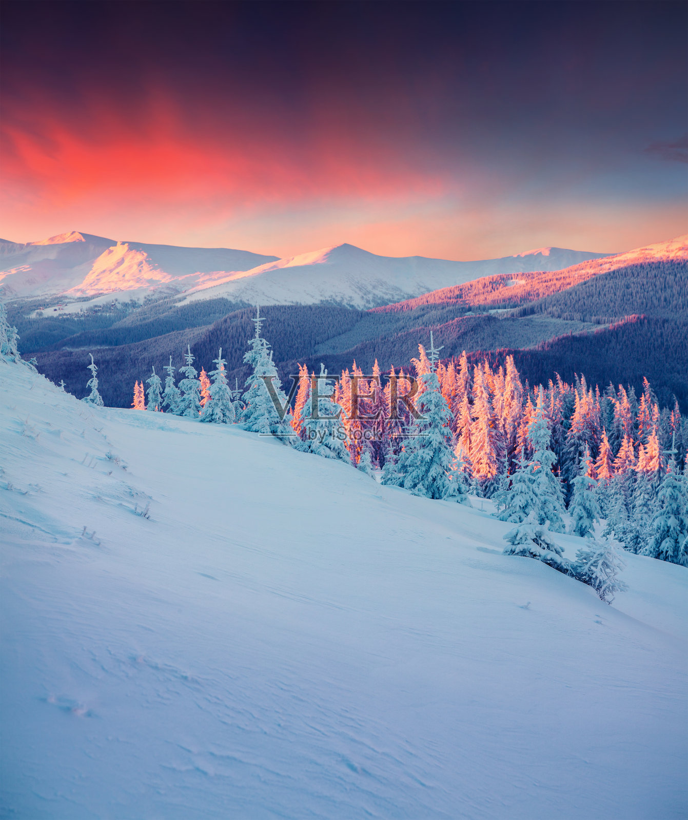 喀尔巴阡山脉五彩缤纷的冬季景色。照片摄影图片