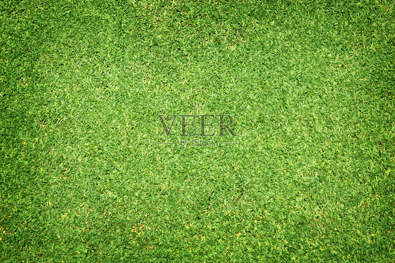 高尔夫球场草坪设计元素图片