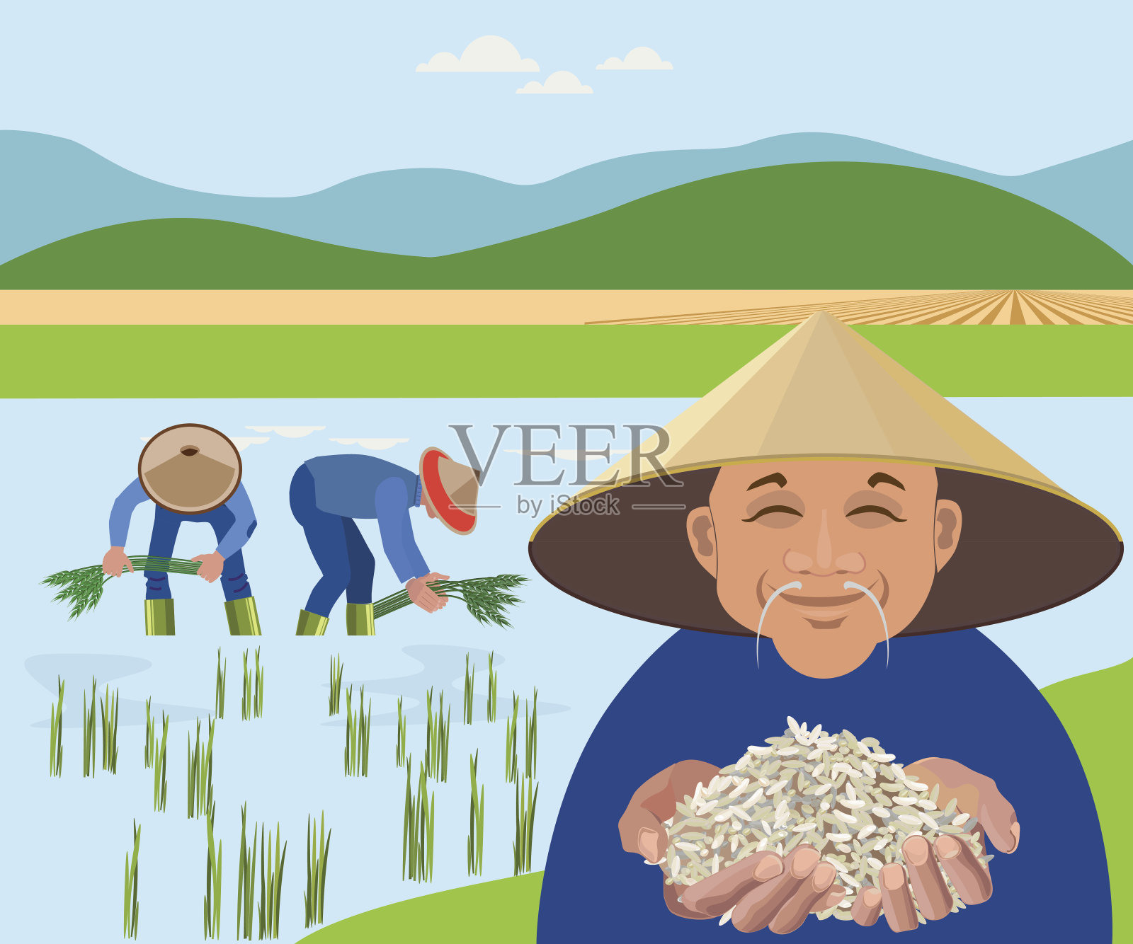 农民在稻田里收割水稻插画图片素材