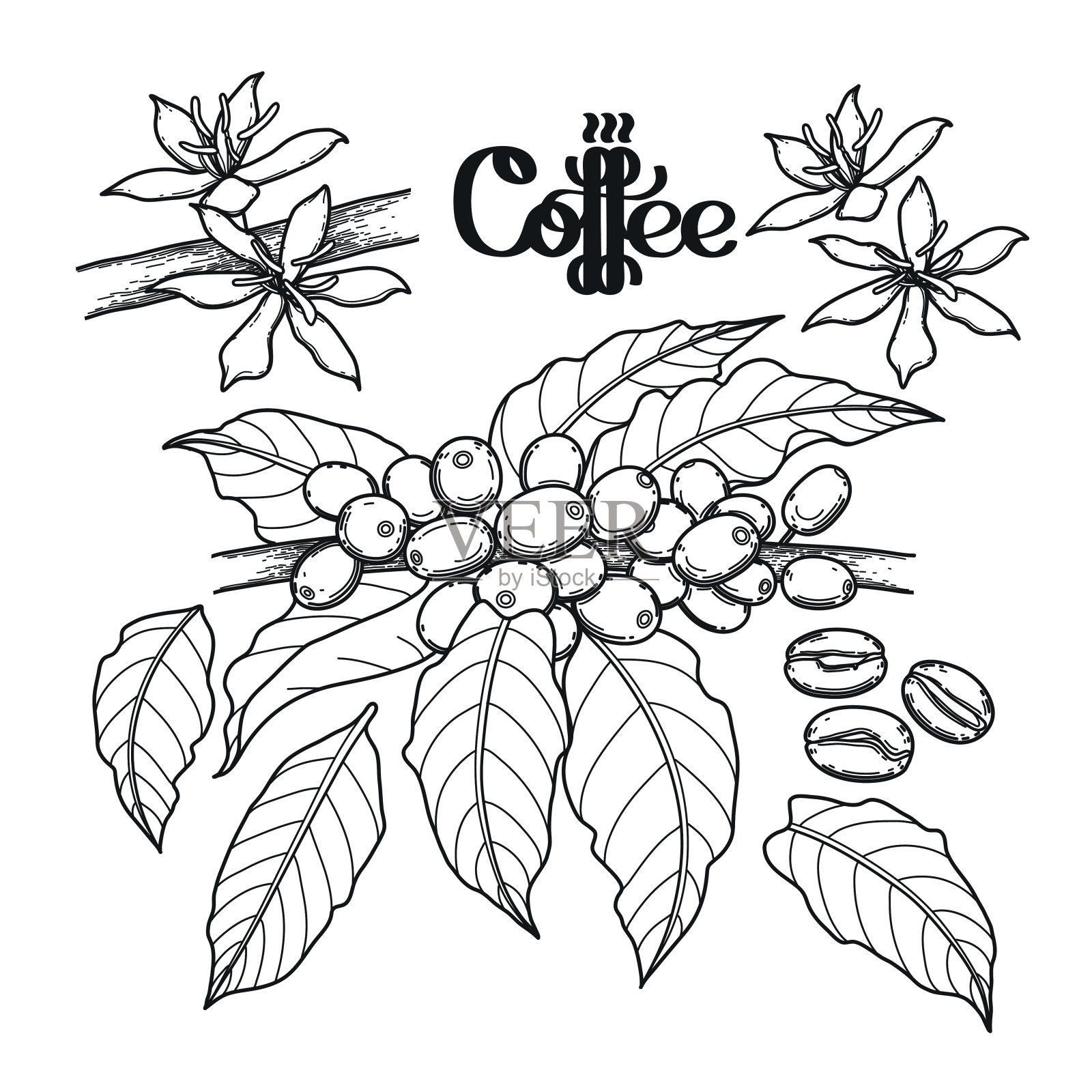 图形咖啡系列插画图片素材