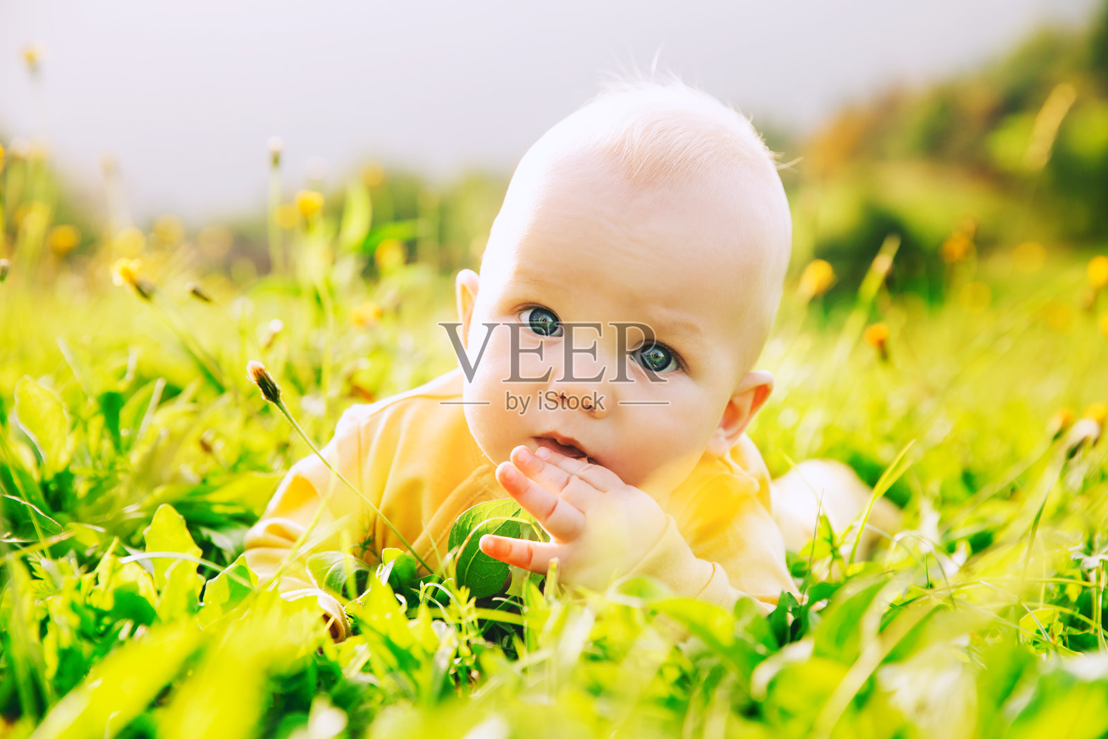夏日里，可爱的婴儿躺在绿油油的草地上。照片摄影图片