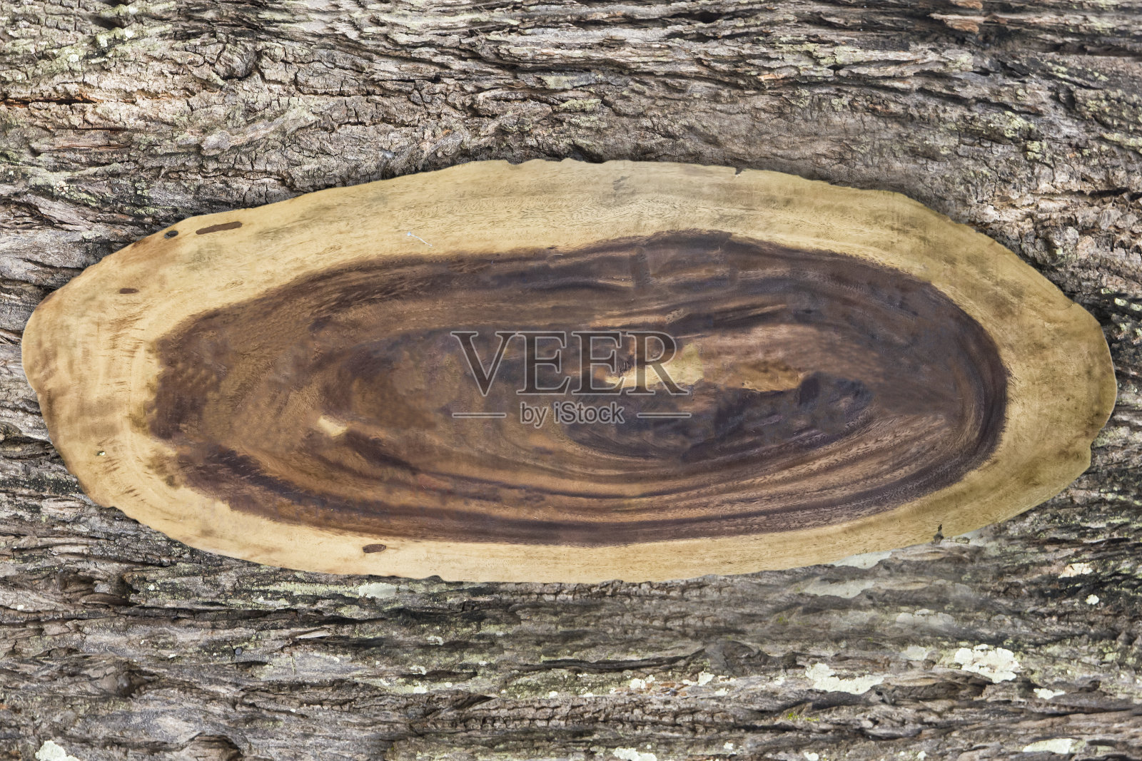 木标志板上的皮肤木背景。照片摄影图片