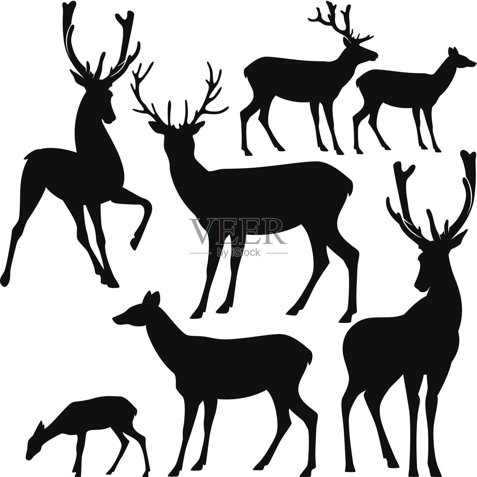 鹿轮廓集插画图片素材