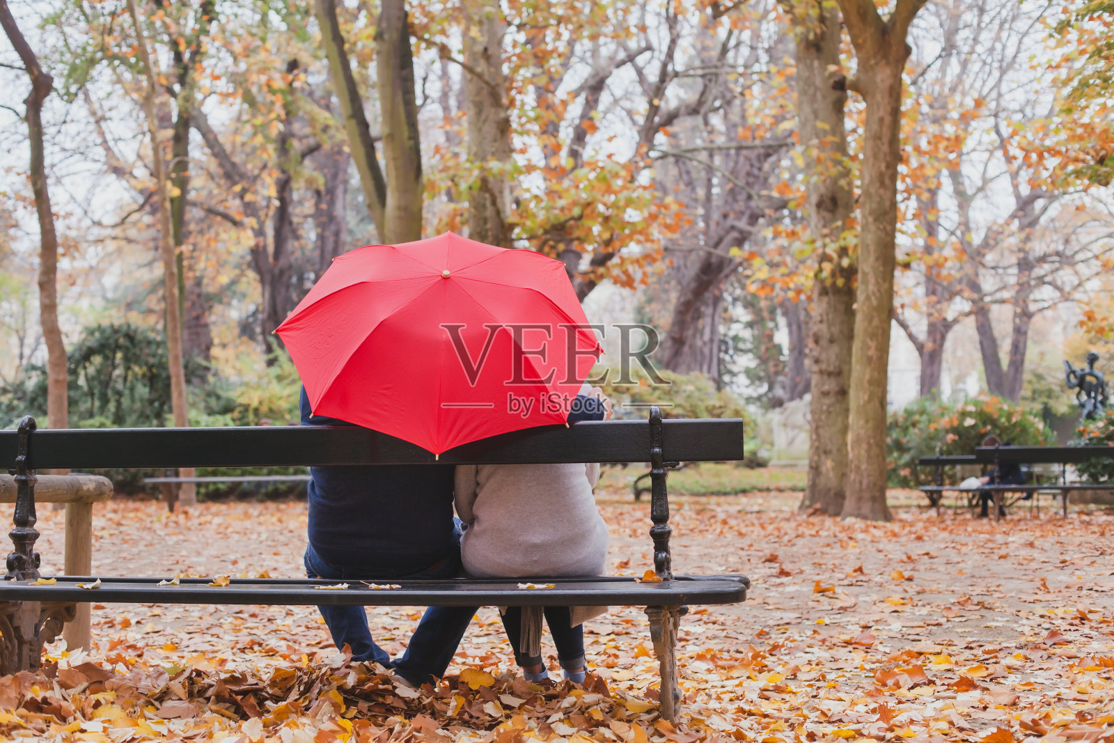 情侣伞下秋日公园，情意绵绵照片摄影图片
