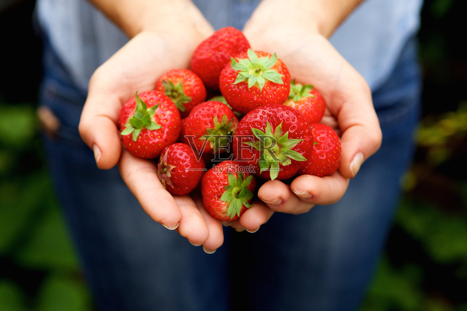 一把美味的红草莓照片摄影图片