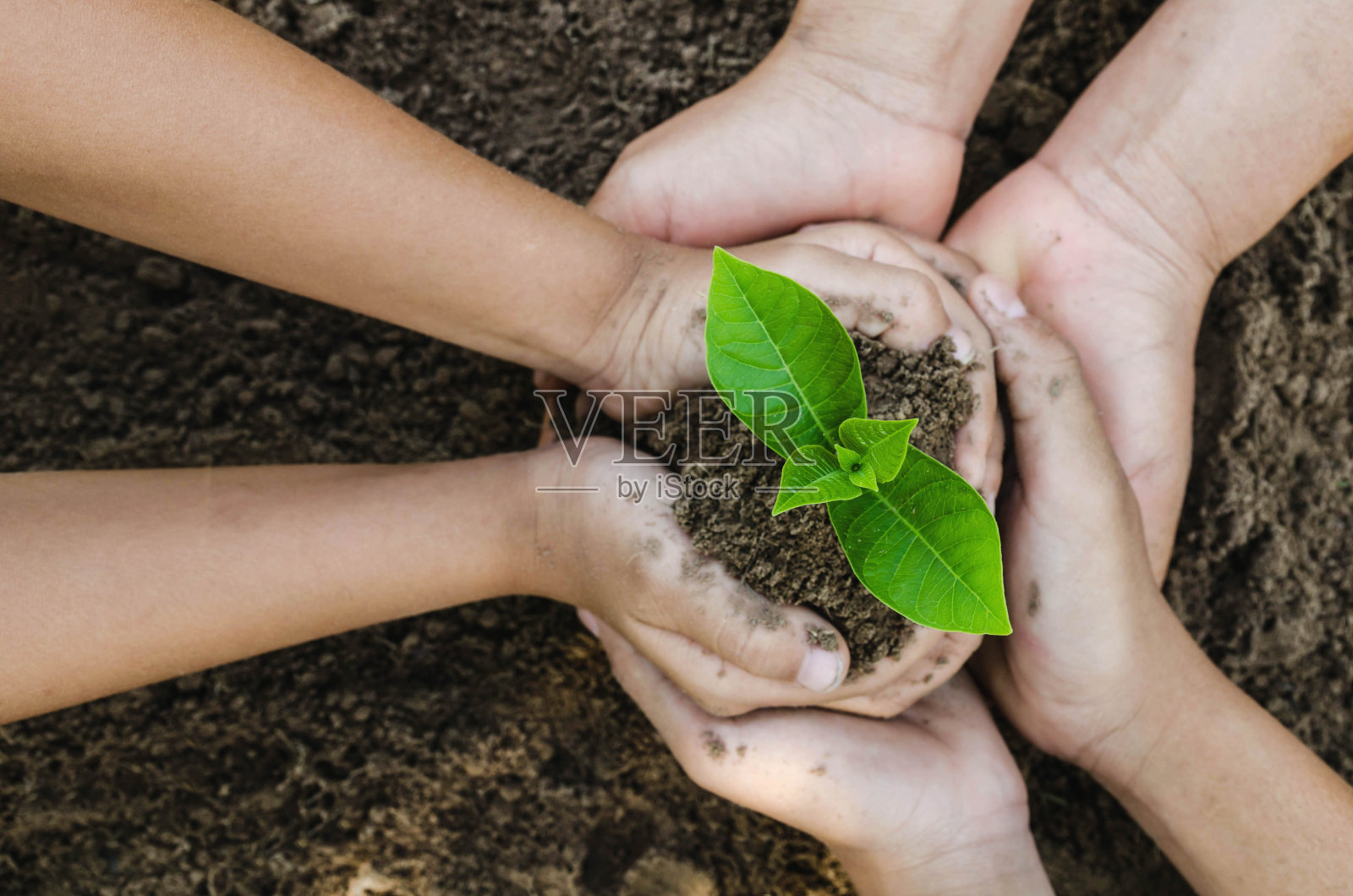 成长概念生态集团携手儿童在土壤背景下共同种植照片摄影图片