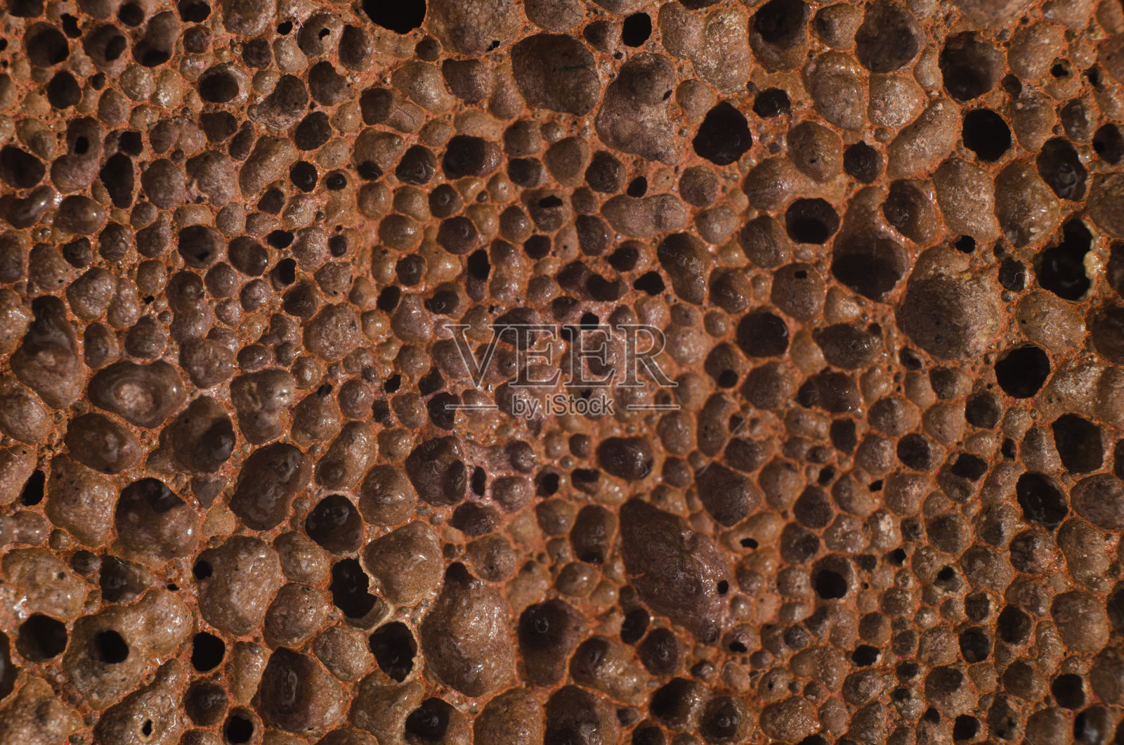 浮石是一种多孔的褐色质地照片摄影图片