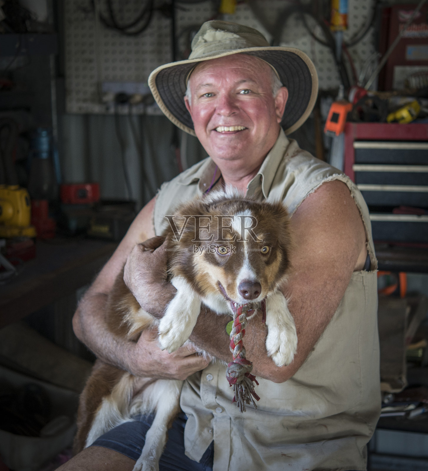 澳大利亚男子在他的棚里抱着他的牧牛狗的特写。照片摄影图片
