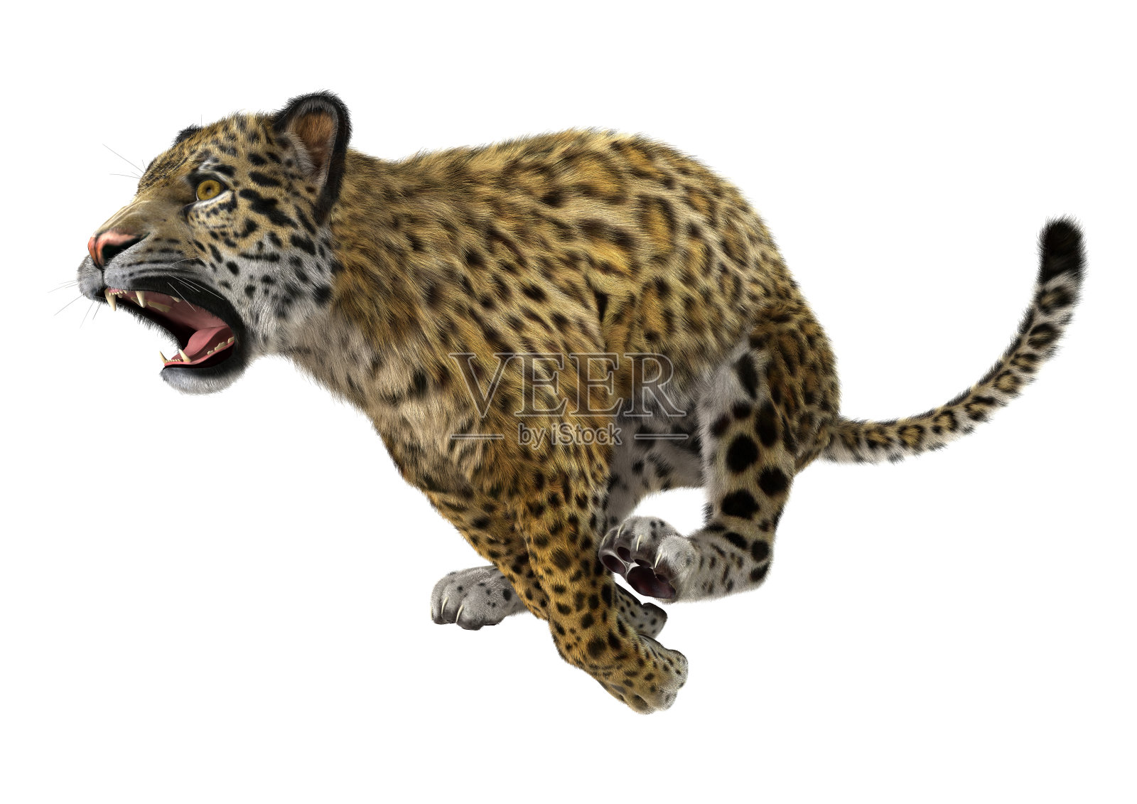 3D渲染大猫美洲豹照片摄影图片