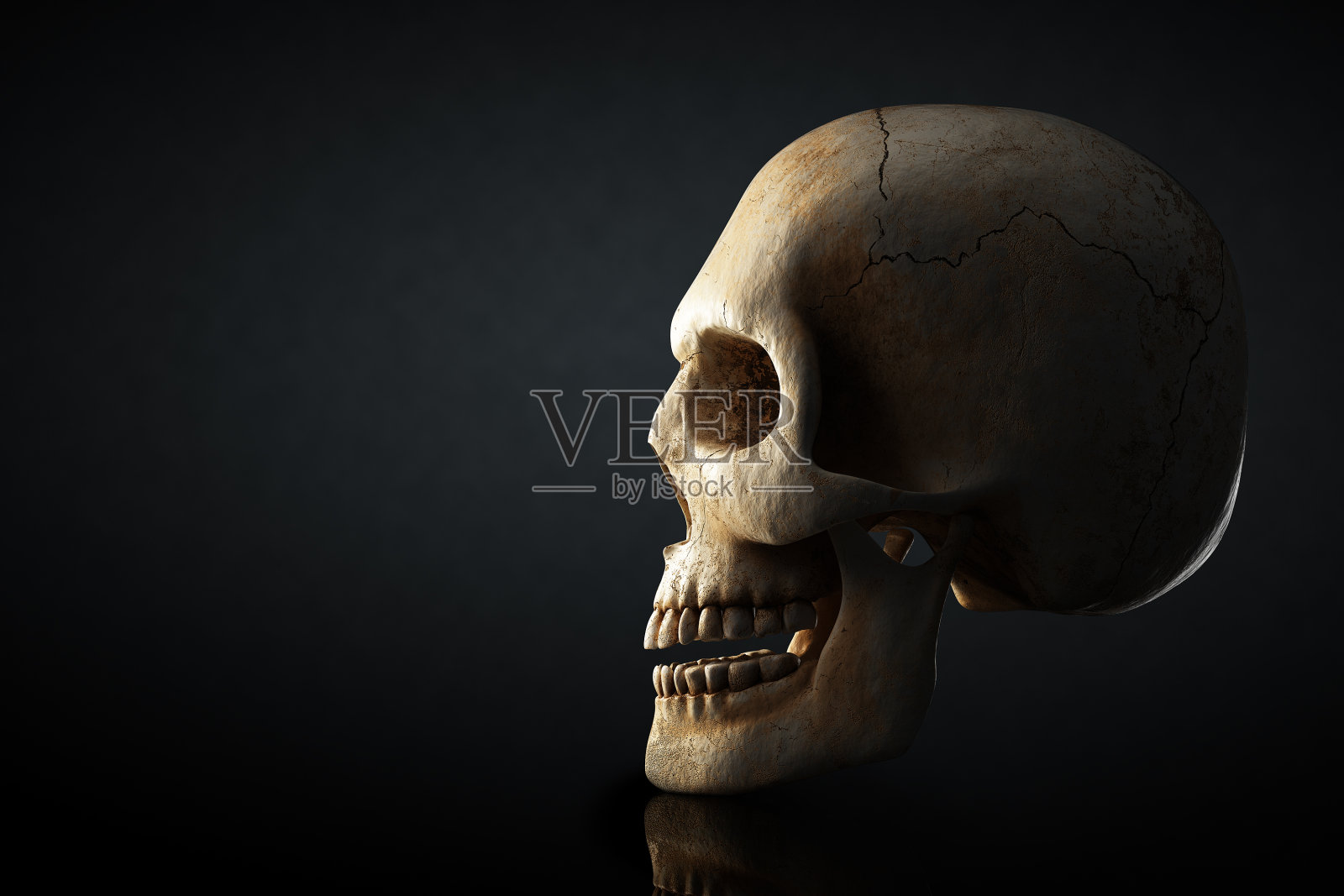 黑暗背景下的人类头骨轮廓照片摄影图片