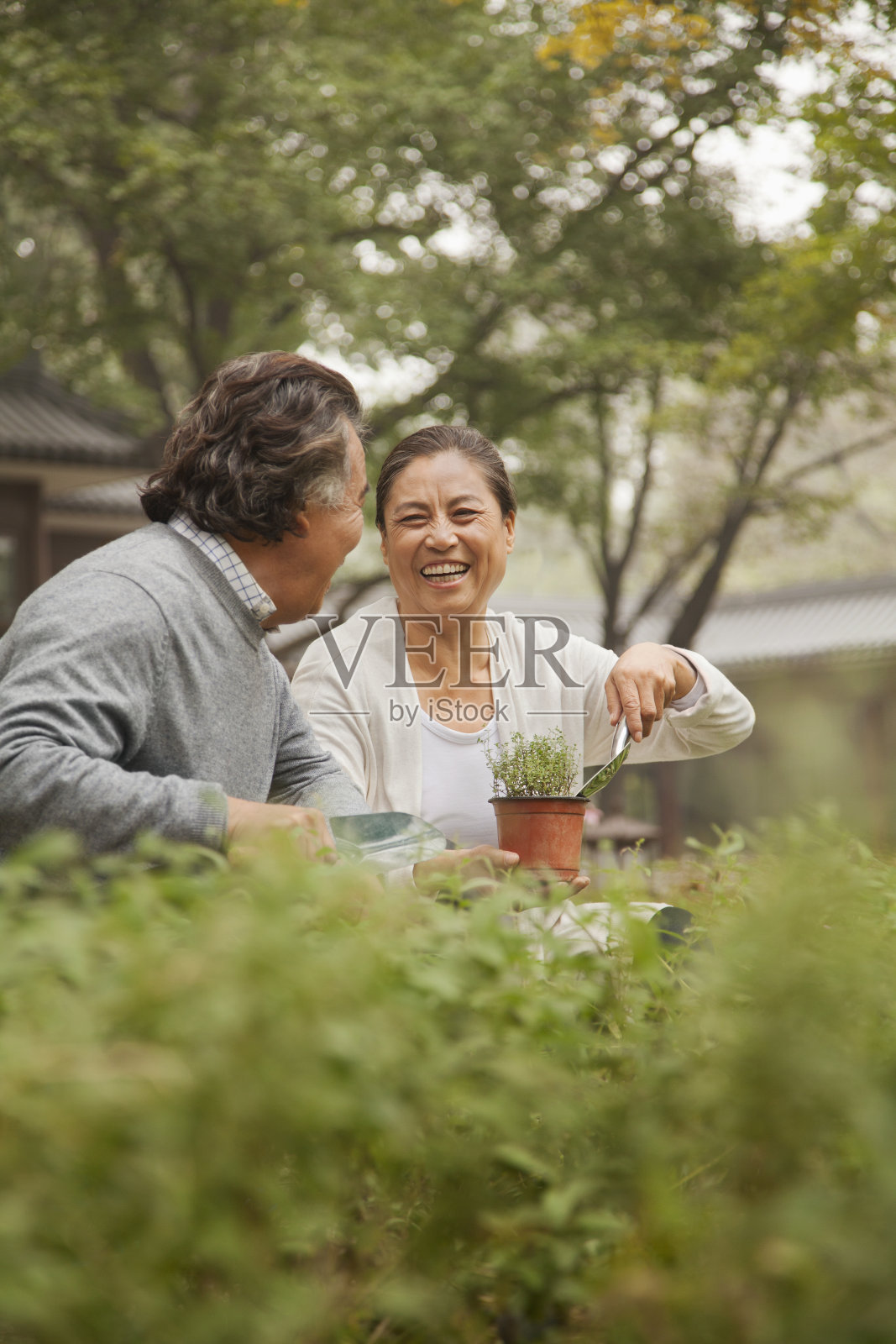 微笑的老年夫妇在花园里照片摄影图片