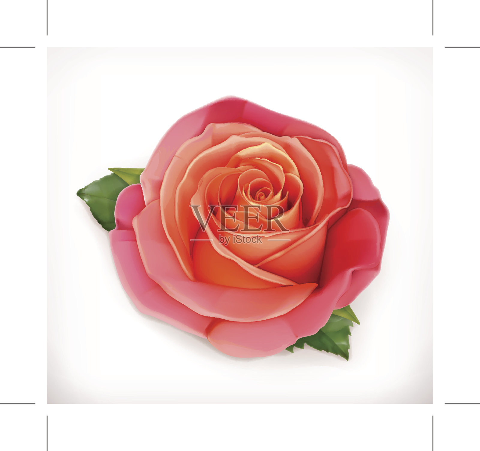 粉红玫瑰矢量图设计元素图片