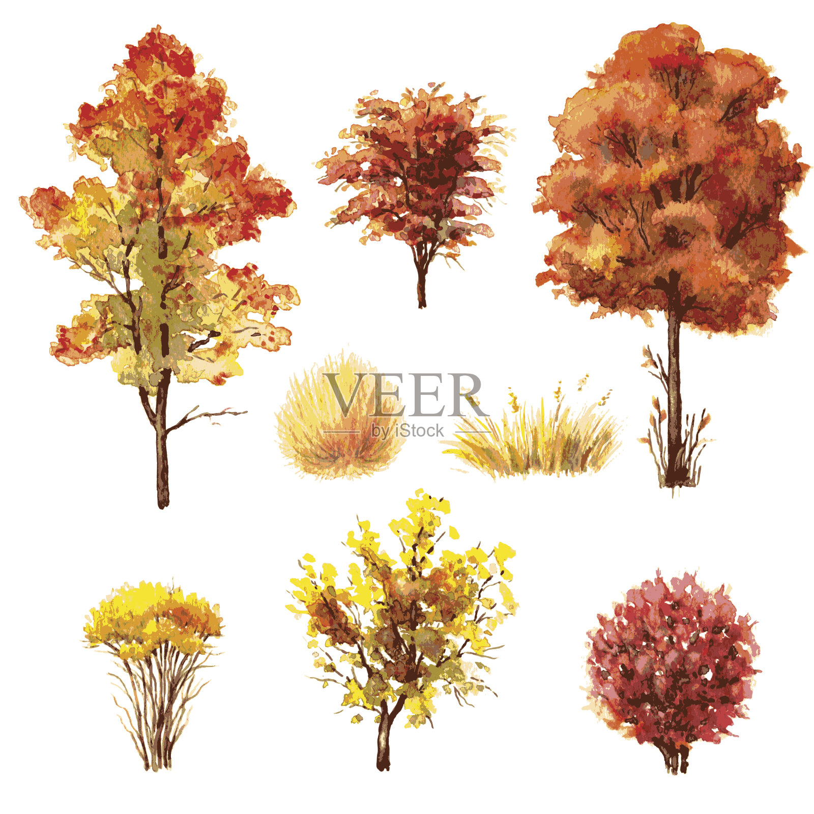 秋天的树木和灌木。设计元素图片
