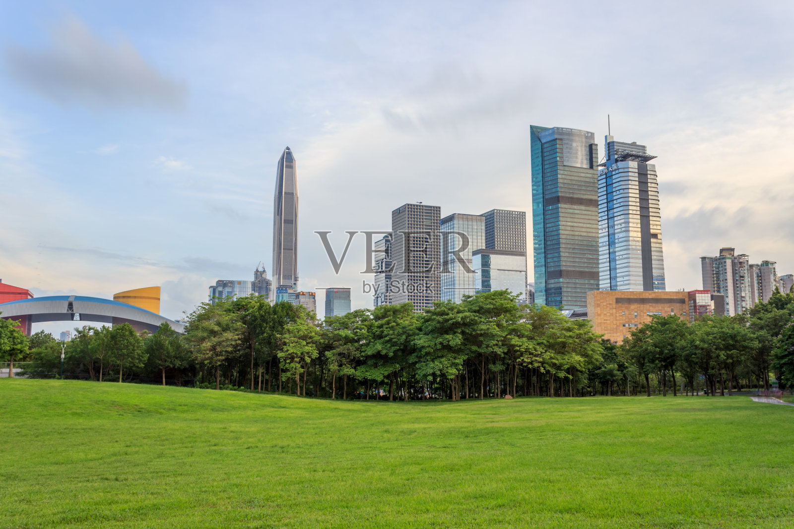 深圳市中心的草地和标志性建筑插画图片素材